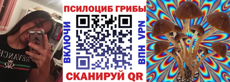 Галлюциногенные грибы мухоморы как найти закладки Суровикино